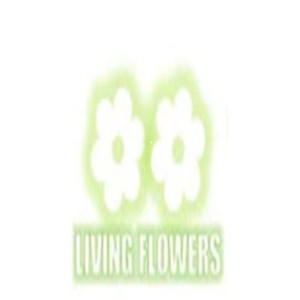 livingflowers livingflowers