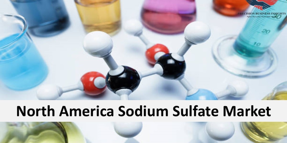 North America Sodium Sulfate Market Size, Dynamics and Key Developments 2024