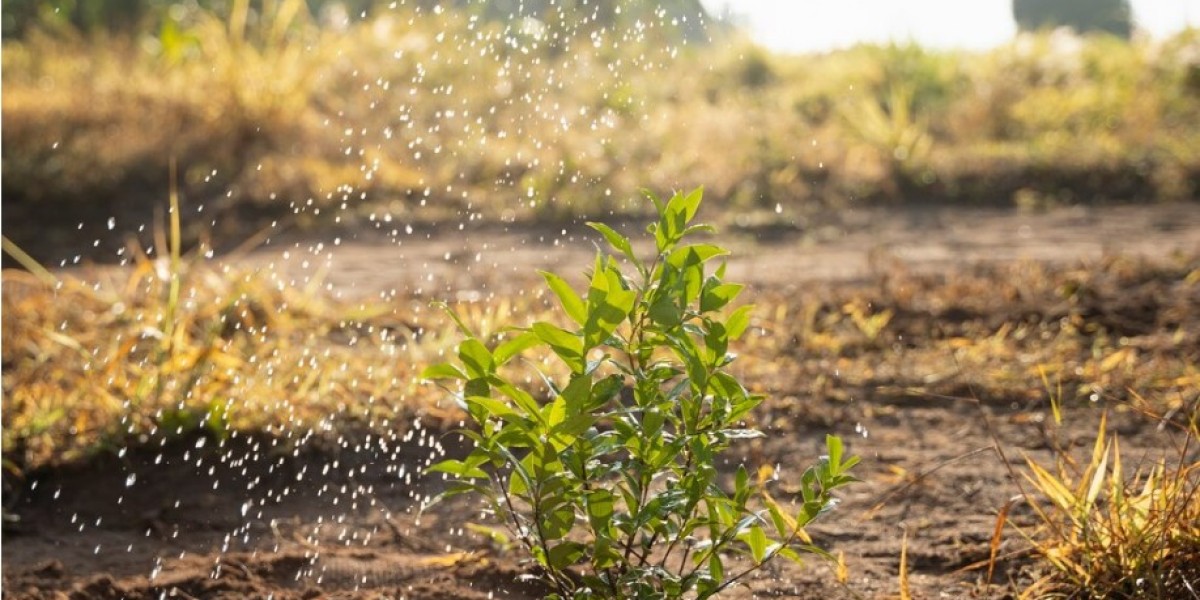 Enhance Your Greenhouse Productivity with Nanobubbles Generator