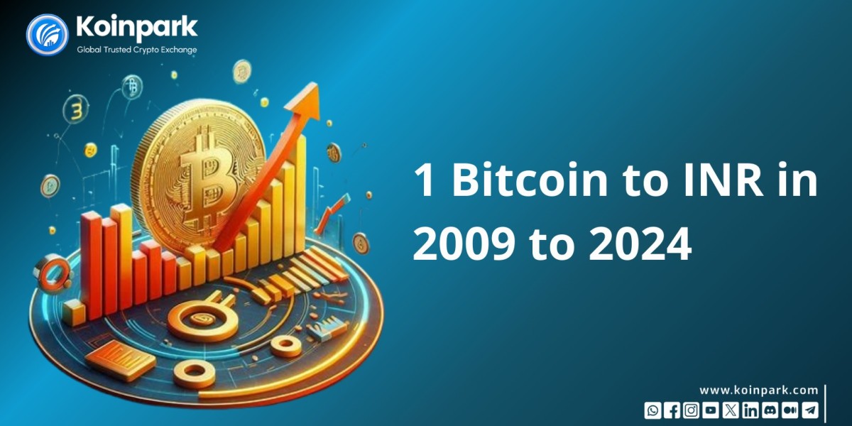 1 Bitcoin to INR from 2009 to 2024