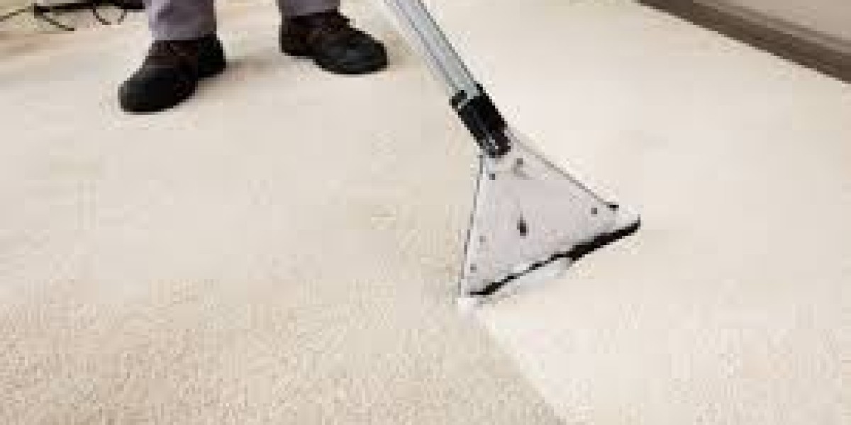 Keep Your Home Clean and Healthy with Professional Carpet Cleaning