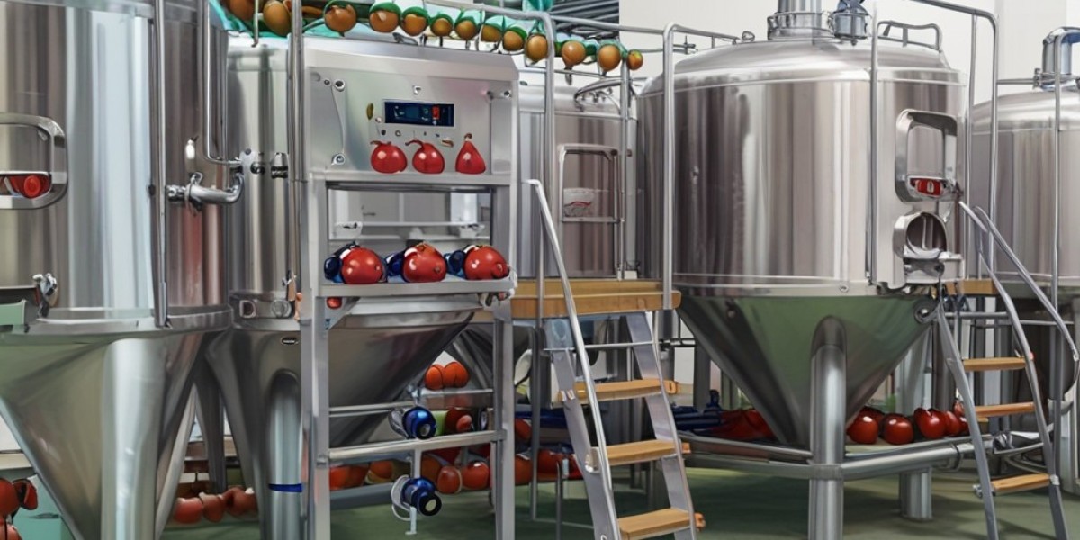 Fruit Beer Manufacturing Plant Setup: Detailed Project Report 2024 by IMARC Group