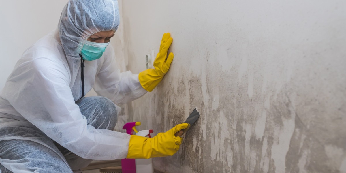 Mold Removal in NYC: A Complete Guide for New Yorkers