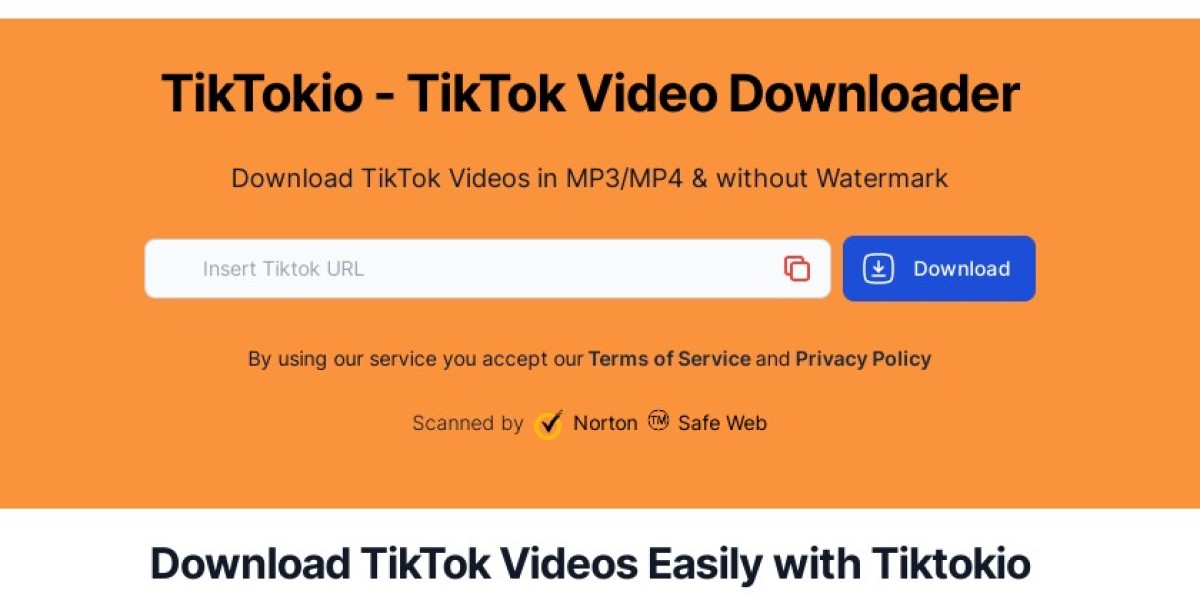 TikTok Video Downloader: What You Need to Know