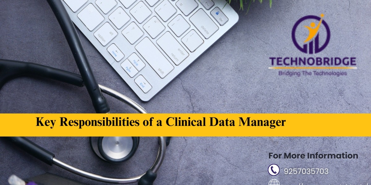 Clinical Data Manager Responsibilities: What Makes This Role Crucial?