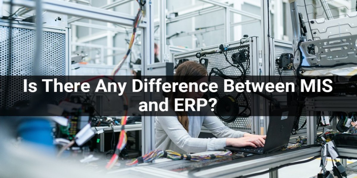 Is There Any Difference Between MIS and ERP?