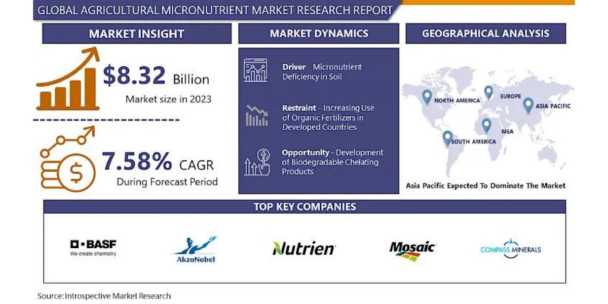 Agricultural Micronutrient Market Emerging Business Trends and Investment Research Report 2024-2032