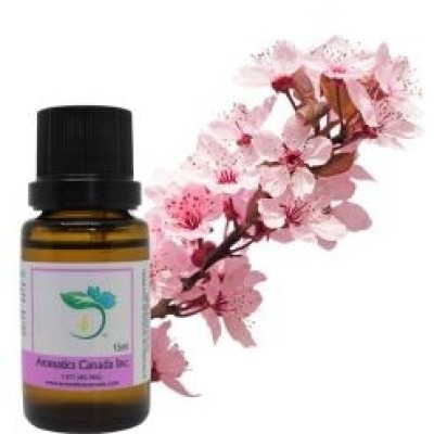 Japanese Cherry Blossom Fragrant Oil Profile Picture