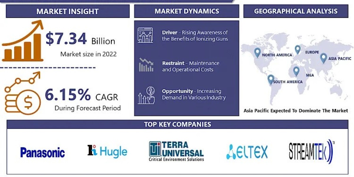 Ionizing Gun Market Stay Ahead with 2030 Market Insights and Trends