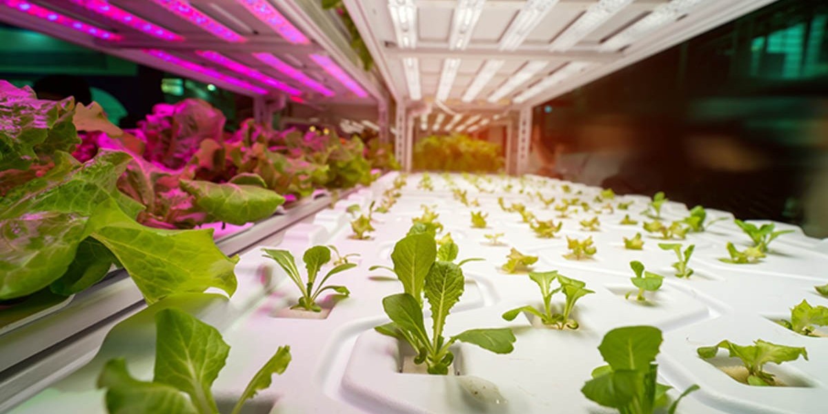 Horticulture LED Lighting Market Insight | Outlook | Growth Analysis Report to 2032