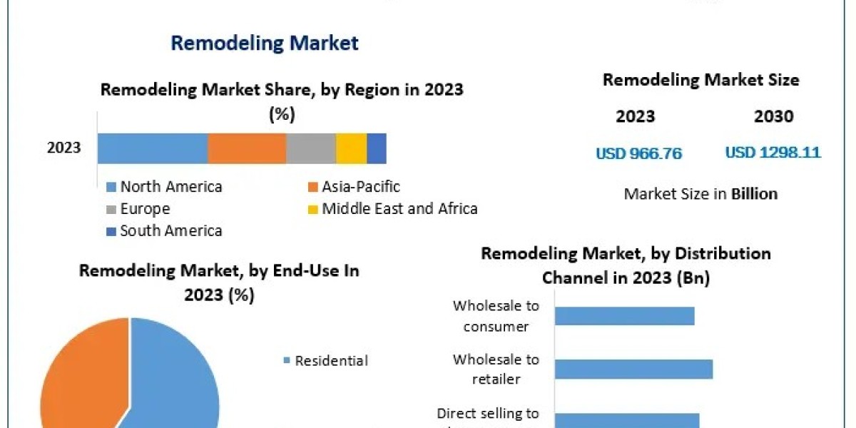 Remodeling Market Metrics Matrix: Segmentation, Outlook, and Overview in Market Dynamics | 2024-2030