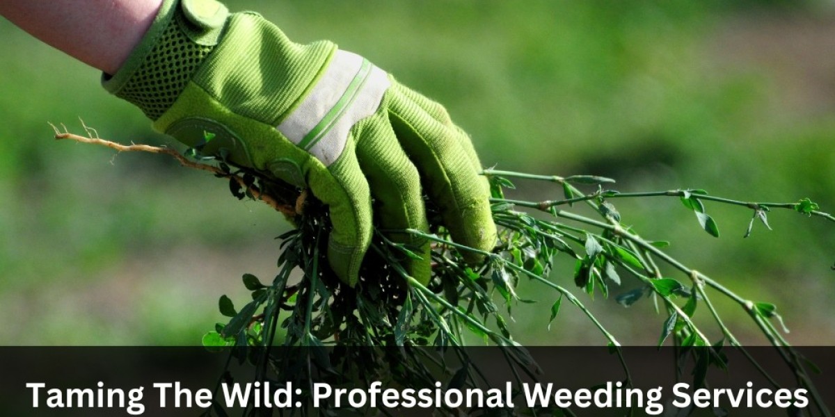 Taming The Wild: Professional Weeding Services