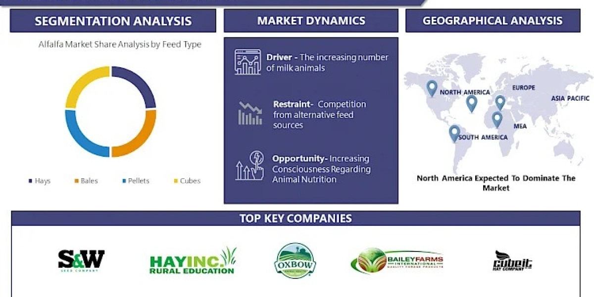 Alfalfa Market Revenue & Gross Margin, Opportunities, Challenges and Risks Analysis Report By 2032 | IMR