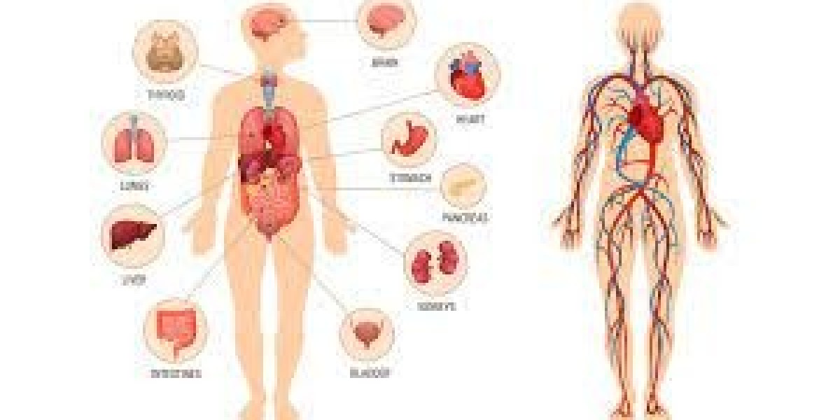 What is PhD Physiology Fee Structure in Pakistan?