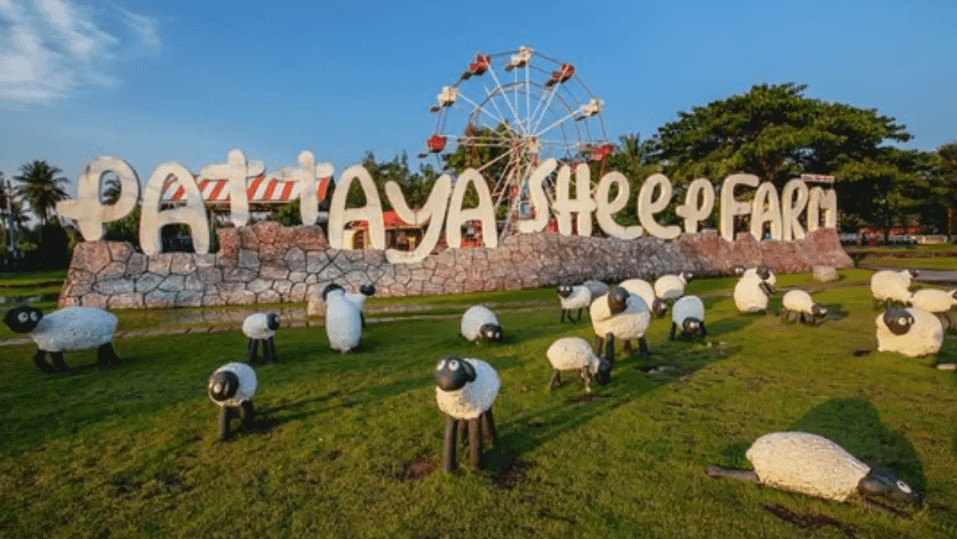 Pattaya Sheep Farm