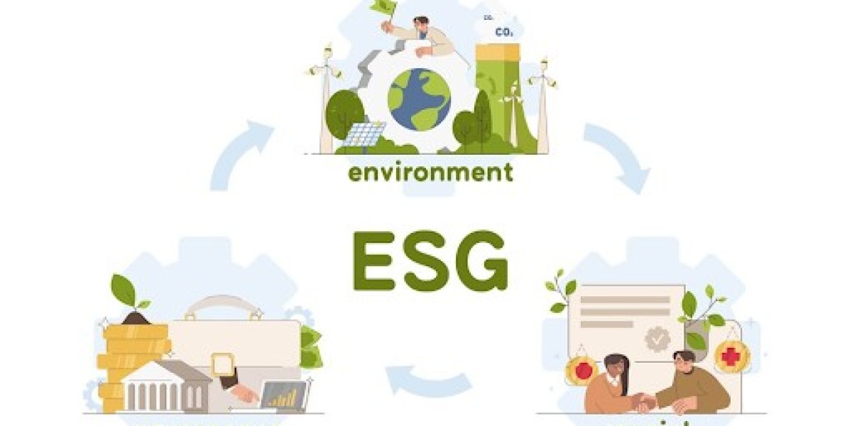 How ESG Assessments Impact Investment Decisions in 2024 and Beyond