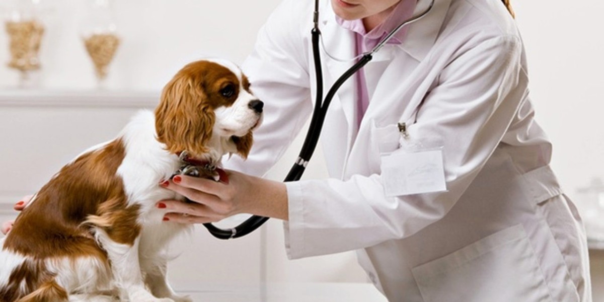 Global Animal Health Market: Size, Share, Growth, Industry Trends | 2024-2031