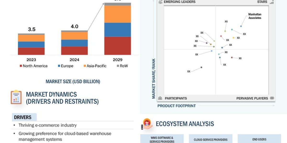 E-Commerce Growth Boosts Warehouse Management Systems Market