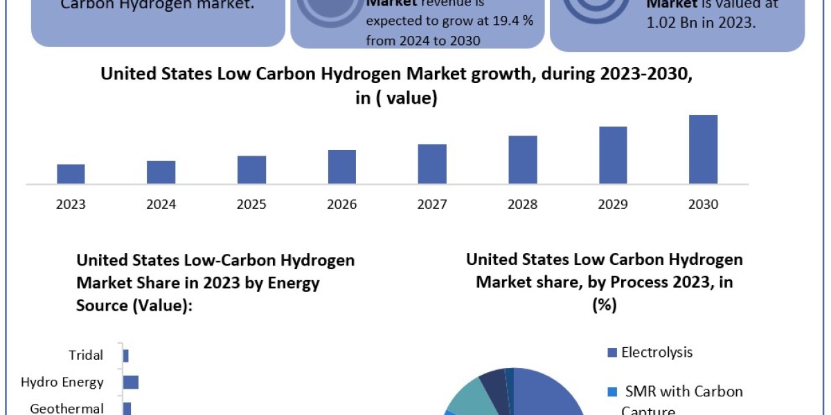 United States Low Carbon Hydrogen Market to Expand at 19.4% CAGR, Valued at USD 3.53 Bn by 2030