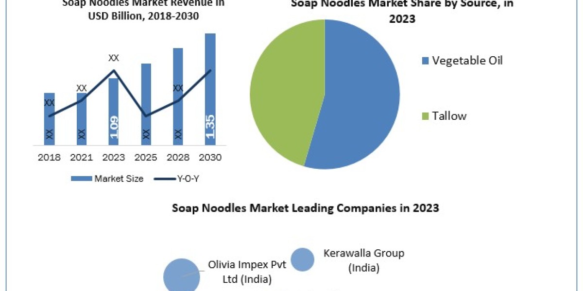 Soap Noodles Market Statistical Symphony: Segmentation, Outlook, and Overview in Market Trends | 2024-2030