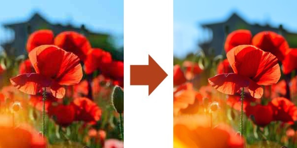 Revolutionize Your Photos: Top Features of ImageMagicHub's AI Image Upscaler