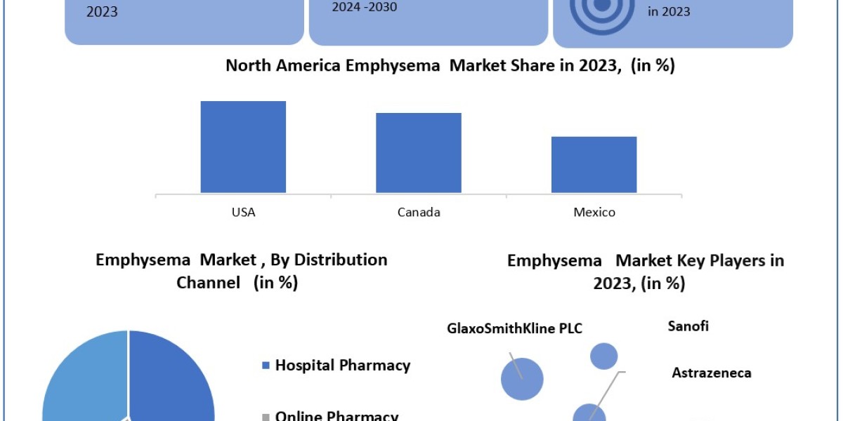 Emphysema Market Uncharted Territory: Size, Share, Revenue, and Worth Statistics Overview | 2024-2030