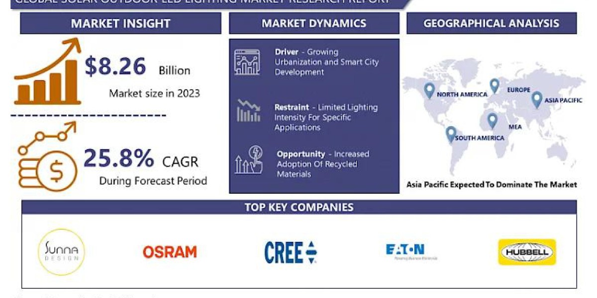 Solar Outdoor LED Lighting Market Strategic Planning and Market Entry Analysis