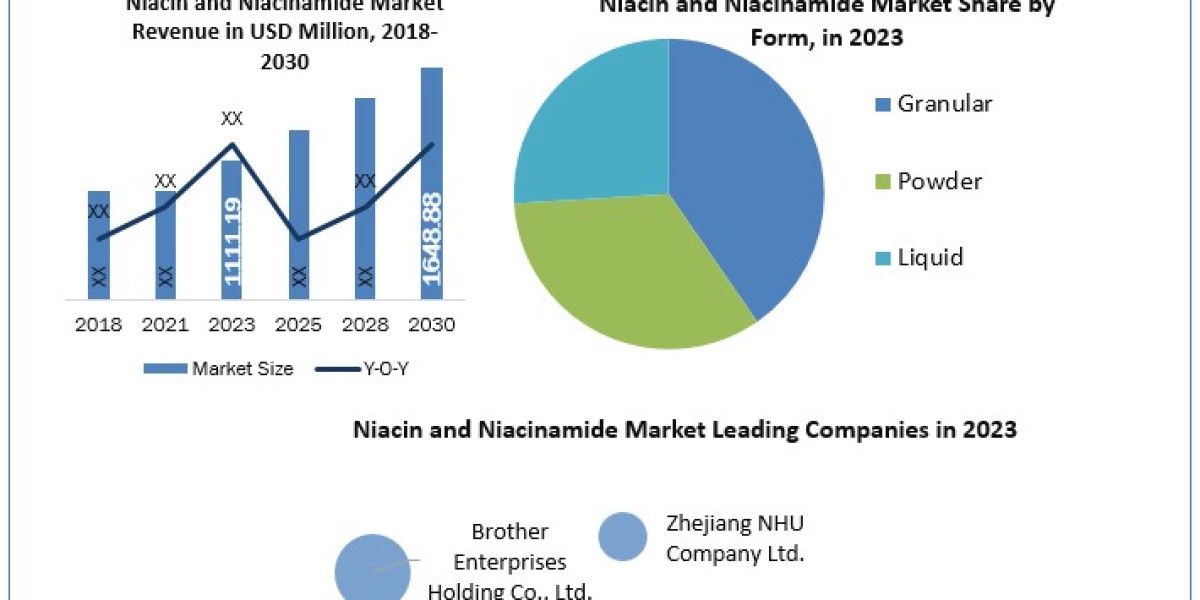 Niacin and Niacinamide Market Outlook (2024-2030): Insights into Forms, Applications, and Regional Trends