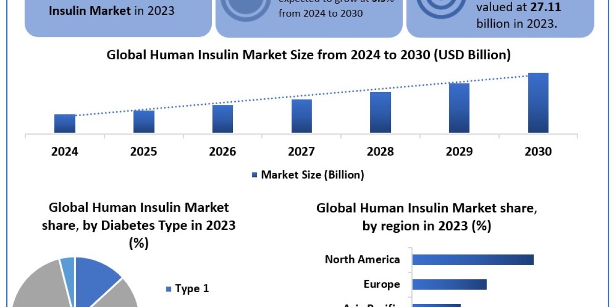 Human Insulin Market Coal Gasification without Carbon Capture Storage Sales, Key Players 2024 to 2030