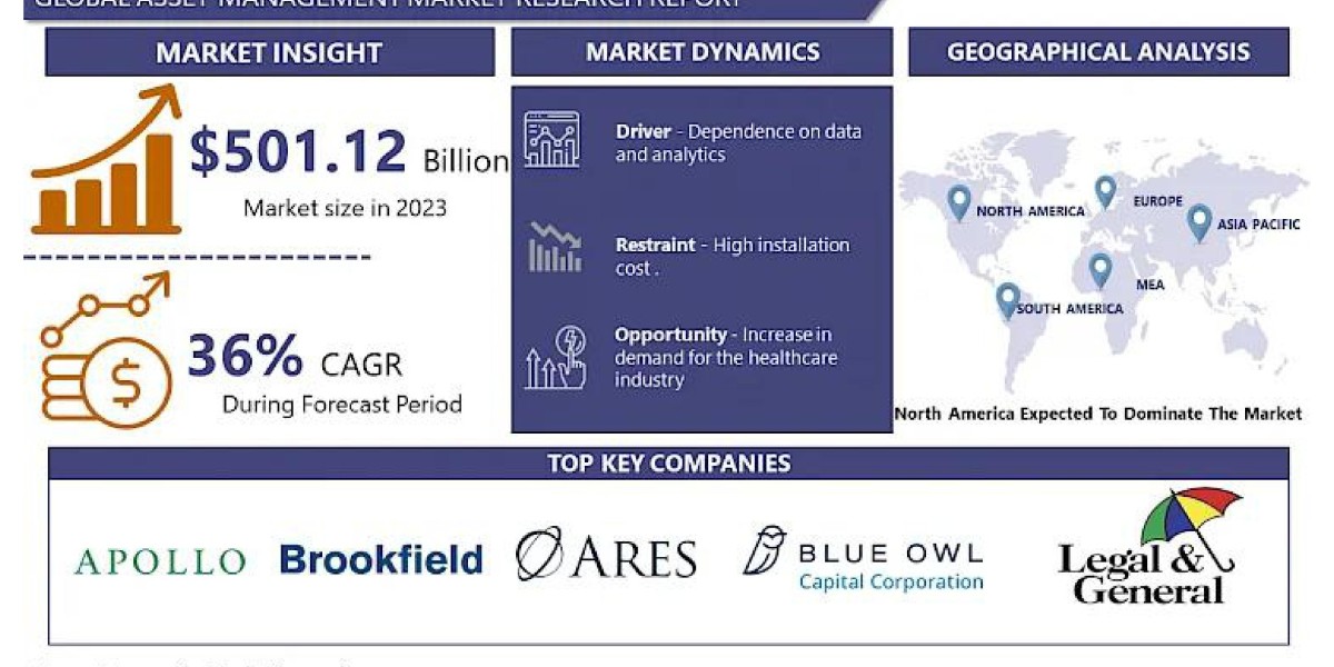 Asset Management Systems Market: Research Report on Regional Size and Status 2024-2032