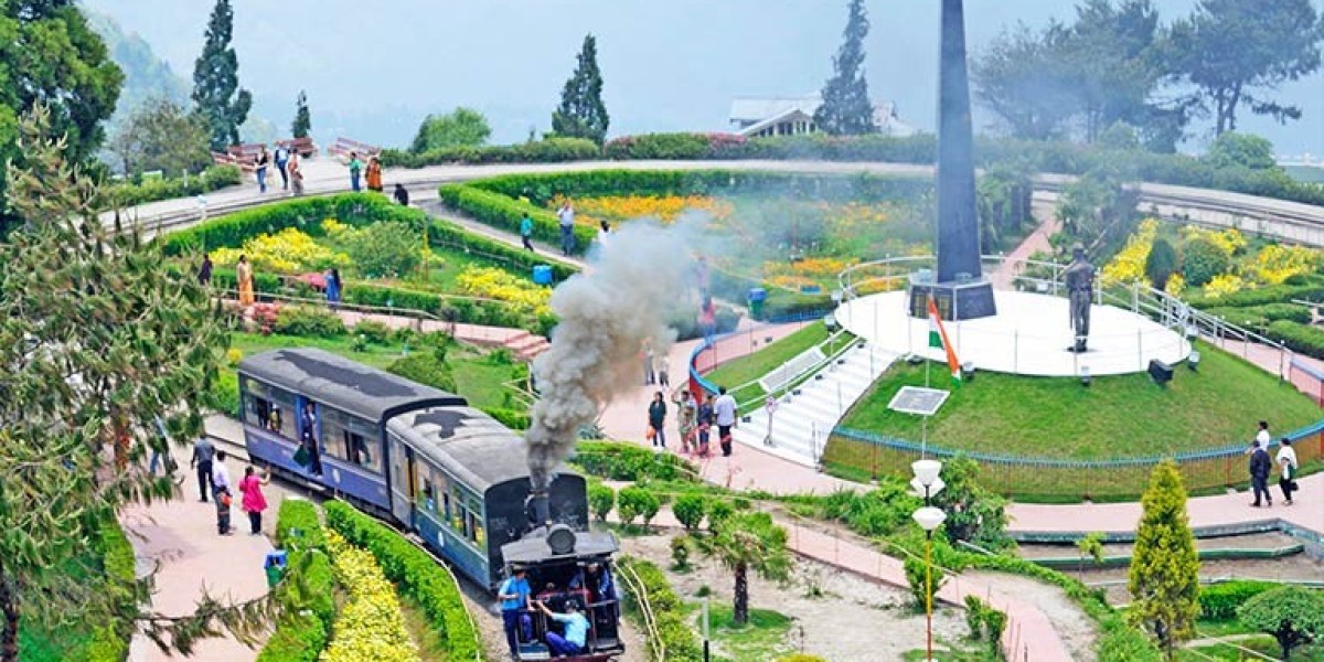 Darjeeling Explorer: Tea Estates, Toy Train, and Beyond