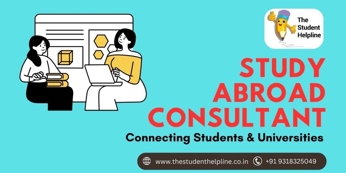 Study Abroad Consultant: Connecting Students and Universities