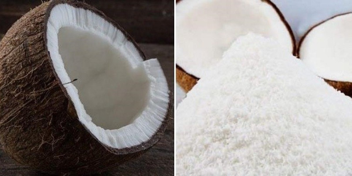 Coconut Powder Manufacturing Plant 2024: Project Report, Production Process, Raw Materials Requirement, Cost and Revenue