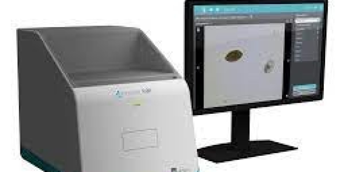 Full Automatic Feces Analyzer Market Size, Share & Trends Analysis Report, 2032