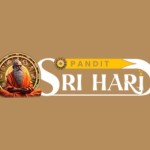 Pandit Sri Hari