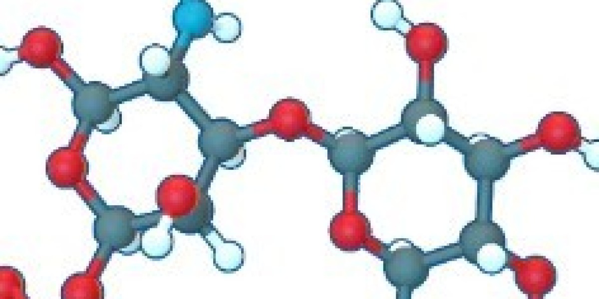 Chondroitin Sulfate Market - Size, Statistics & Companies Report 2024