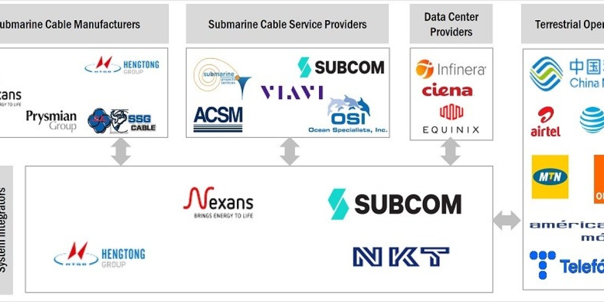 Driving Forces Behind the Submarine Cable Systems Growth