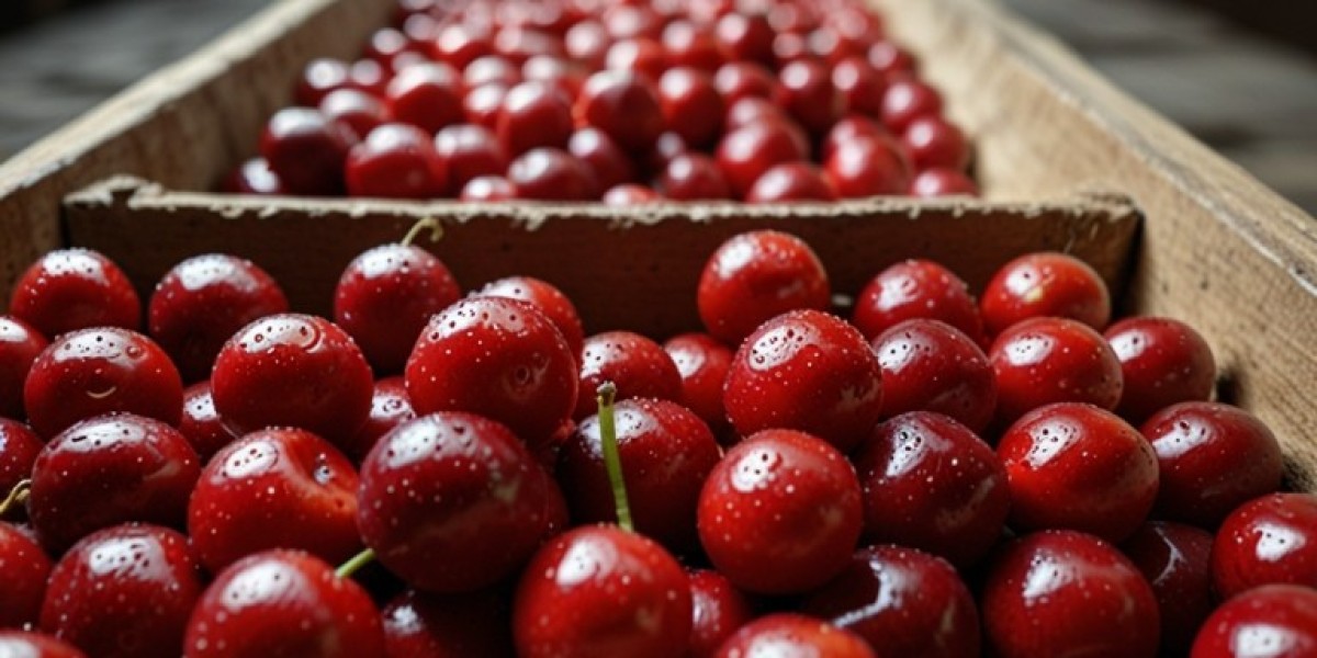 Acerola Cherry Processing Plant Project Report 2024: Requirements and Cost Involved