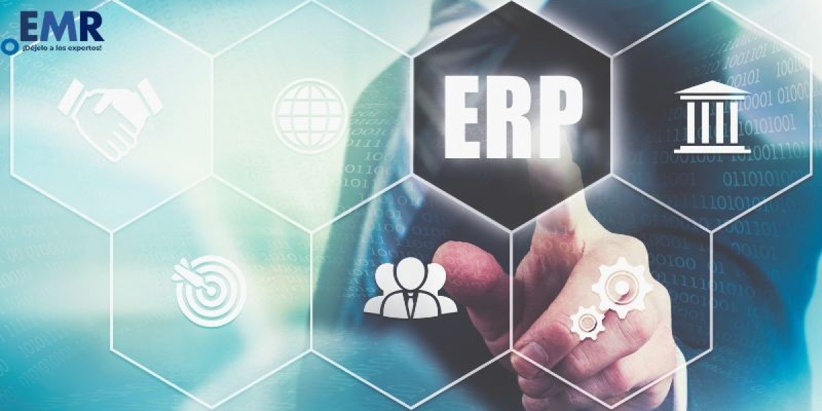 Crecimiento del Mercado de Software ERP