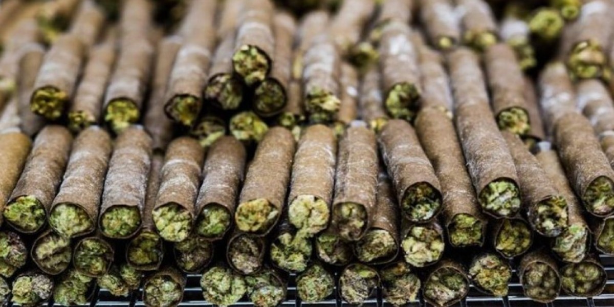 Shop Premium Cannabis Cigars Online | El Blunto