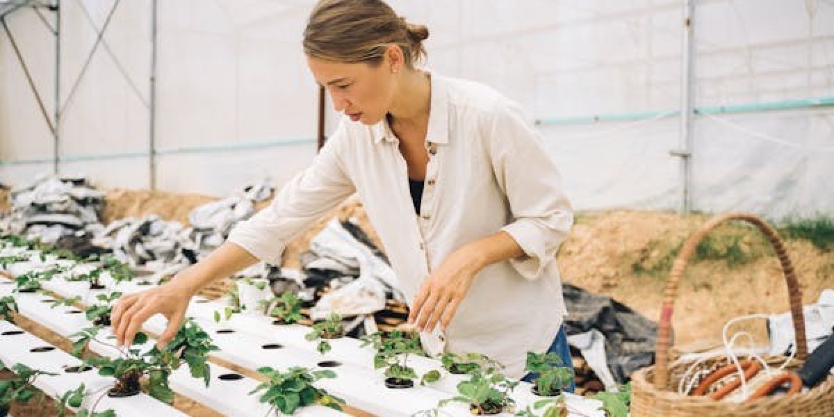 The Future of Gardening: Exploring Hydroponic Vertical Gardens