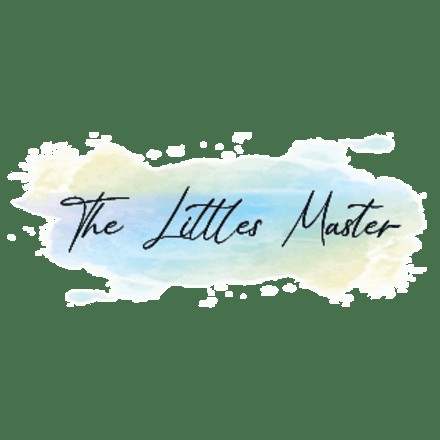 littlesmaster studio