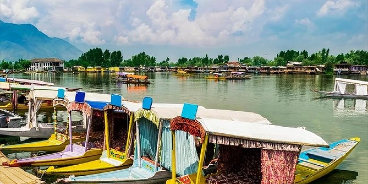 Tips to know beffor visit Kashmir with Family