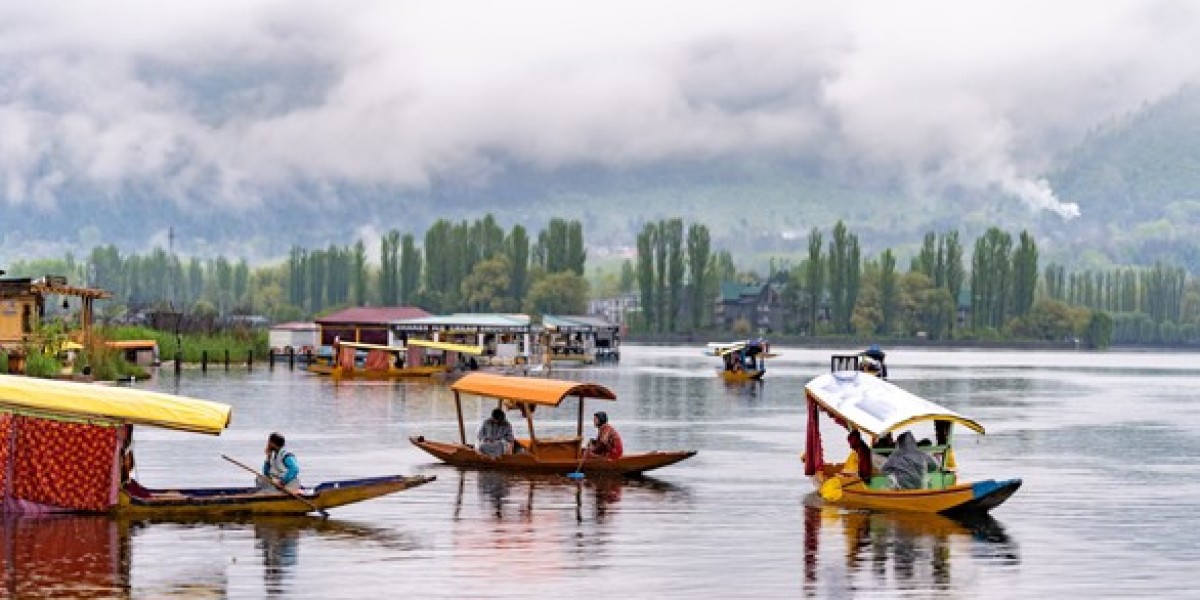 Kashmir Tour with Dodhpathri: A Serene Escape into Nature's Paradise