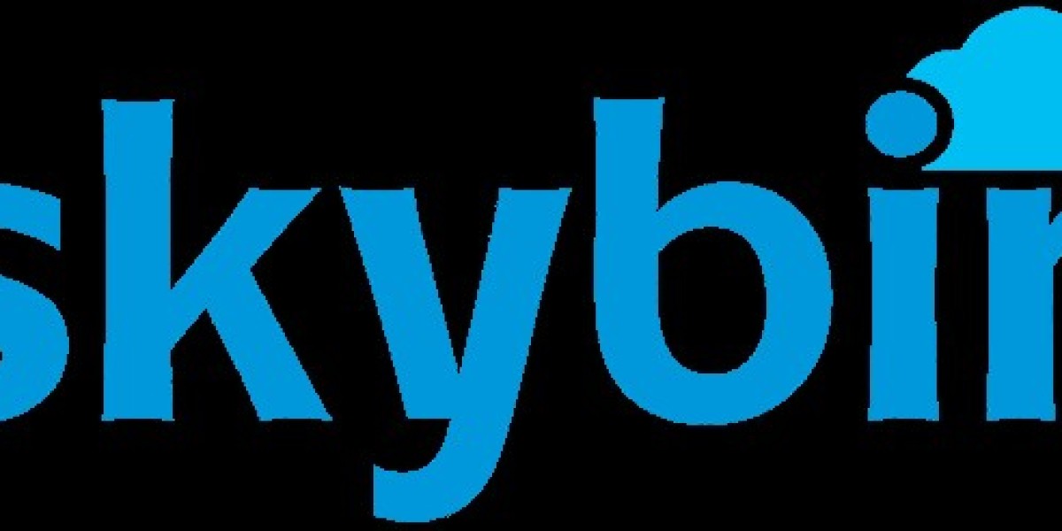 Top WordPress Development Company in Noida: Skybin Technology Private Limited