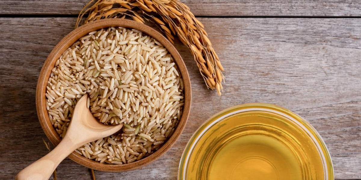 Rice Bran Oil Market - Size, Statistics & Companies Report 2024