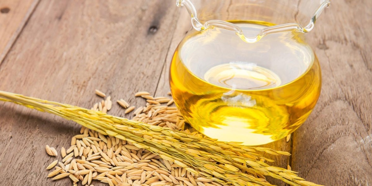 Rice Bran Oil Manufacturing Plant 2024: Project Report, Strategic Planning, Plant Setup, Cost and Revenue