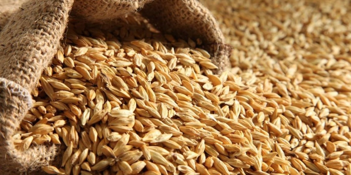 Asia Pacific Malt Ingredient Market: Size, Trends, and Insights