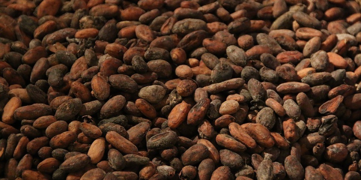 Cocoa Market Trends and Insights: A Research Based Approach to Understanding Demand Drivers