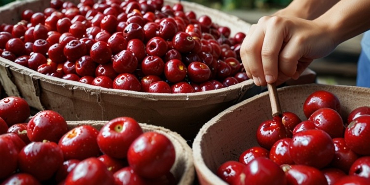 Acerola Cherry Processing Report 2024: Plant Cost, Business Plan, Capital Investments and Expenses